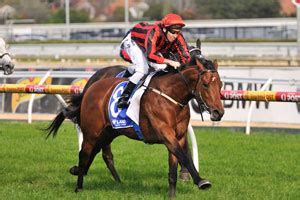 ming dynasty quality betting